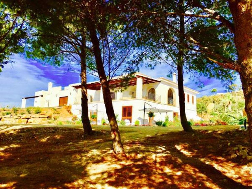 Limoni By Klabhouse *